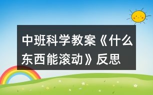 中班科學(xué)教案《什么東西能滾動》反思