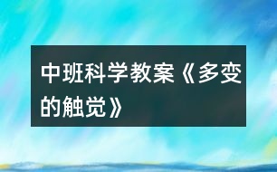 中班科學(xué)教案《多變的觸覺》