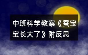 中班科學教案《蠶寶寶長大了》附反思