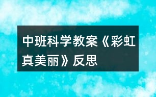 中班科學教案《彩虹真美麗》反思