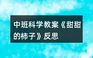 中班科學教案《甜甜的柿子》反思