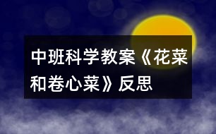 中班科學教案《花菜和卷心菜》反思