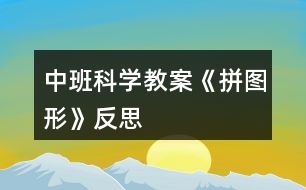 中班科學(xué)教案《拼圖形》反思