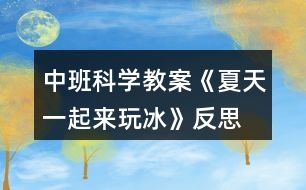 中班科學教案《夏天一起來玩冰》反思