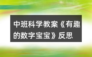 中班科學教案《有趣的數(shù)字寶寶》反思