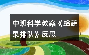 中班科學(xué)教案《給蔬果排隊》反思