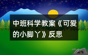 中班科學教案《可愛的小腳丫》反思