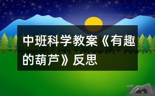 中班科學(xué)教案《有趣的葫蘆》反思