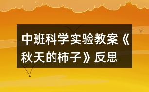 中班科學實驗教案《秋天的柿子》反思