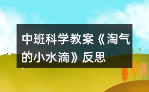 中班科學(xué)教案《淘氣的小水滴》反思