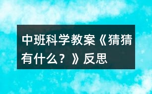 中班科學(xué)教案《猜猜有什么？》反思