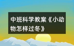 中班科學教案《小動物怎樣過冬》