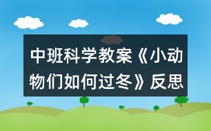 中班科學教案《小動物們如何過冬》反思