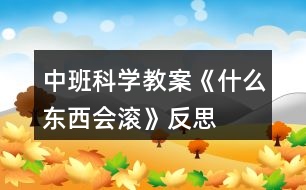 中班科學(xué)教案《什么東西會(huì)滾》反思