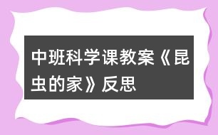 中班科學(xué)課教案《昆蟲的家》反思