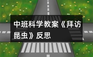 中班科學(xué)教案《拜訪昆蟲》反思