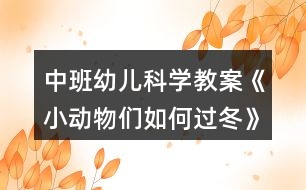 中班幼兒科學教案《小動物們?nèi)绾芜^冬》反思