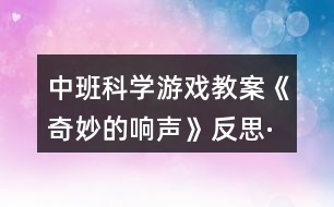 中班科學(xué)游戲教案《奇妙的響聲》反思·