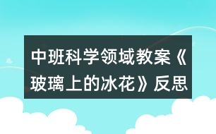 中班科學領域教案《玻璃上的冰花》反思