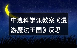 中班科學課教案《漫游魔法王國》反思