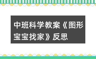 中班科學(xué)教案《圖形寶寶找家》反思