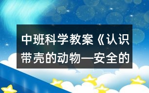 中班科學(xué)教案《認(rèn)識(shí)帶殼的動(dòng)物―安全的家》反思