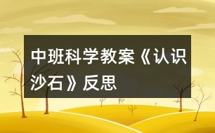 中班科學(xué)教案《認(rèn)識沙石》反思