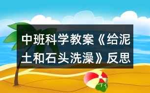 中班科學(xué)教案《給泥土和石頭洗澡》反思