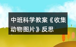 中班科學(xué)教案《收集動(dòng)物圖片》反思