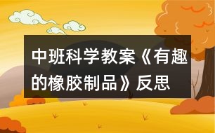 中班科學(xué)教案《有趣的橡膠制品》反思