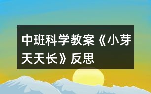 中班科學教案《小芽天天長》反思