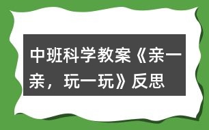 中班科學(xué)教案《親一親，玩一玩》反思