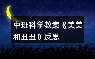 中班科學教案《美美和丑丑》反思