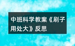 中班科學(xué)教案《刷子用處大》反思