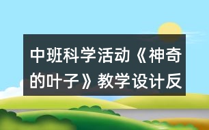 中班科學(xué)活動《神奇的葉子》教學(xué)設(shè)計反思