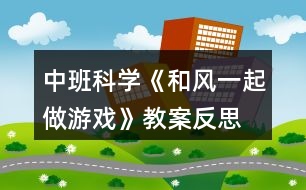 中班科學《和風一起做游戲》教案反思