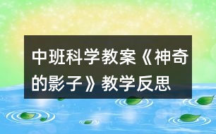 中班科學(xué)教案《神奇的影子》教學(xué)反思