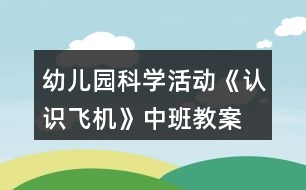 幼兒園科學(xué)活動《認識飛機》中班教案