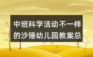 中班科學(xué)活動(dòng)不一樣的沙錘幼兒園教案總結(jié)