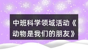 中班科學(xué)領(lǐng)域活動(dòng)《動(dòng)物是我們的朋友》