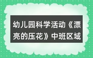 幼兒園科學(xué)活動(dòng)《漂亮的壓花》中班區(qū)域游戲方案