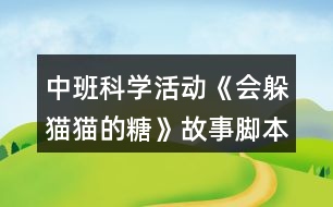 中班科學(xué)活動《會躲貓貓的糖》故事腳本反思