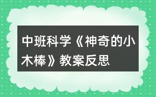 中班科學《神奇的小木棒》教案反思