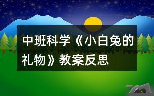 中班科學《小白兔的禮物》教案反思