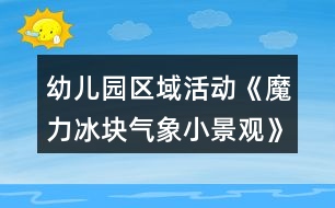 幼兒園區(qū)域活動《魔力冰塊氣象小景觀》中班科學發(fā)現(xiàn)區(qū)教案