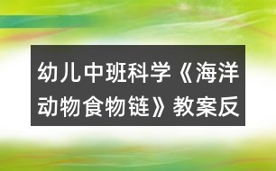 幼兒中班科學(xué)《海洋動物食物鏈》教案反思