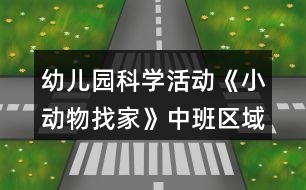 幼兒園科學活動《小動物找家》中班區(qū)域游戲教案反思