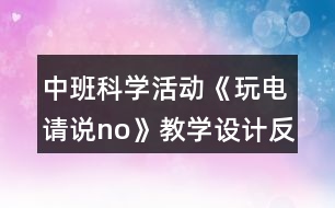 中班科學(xué)活動(dòng)《玩電請(qǐng)說(shuō)no》教學(xué)設(shè)計(jì)反思