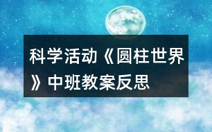 科學(xué)活動《圓柱世界》中班教案反思