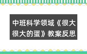 中班科學(xué)領(lǐng)域《很大很大的蛋》教案反思